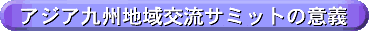 �A�W�A��B�n��𗬃T�~�b�g�̈Ӌ`